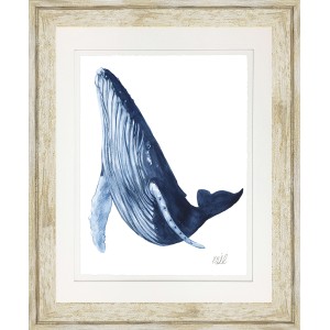 KS- BLUE WHALE 4